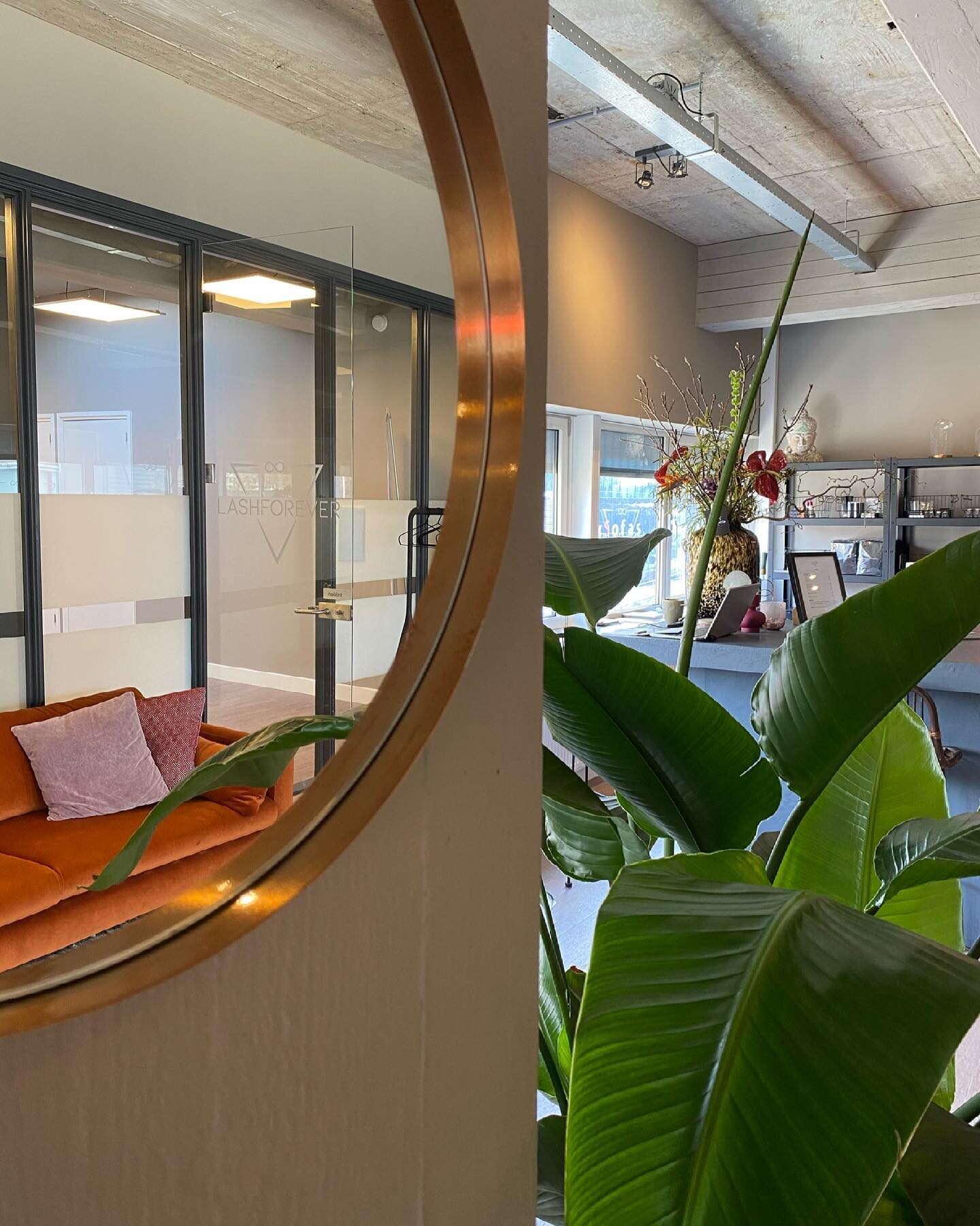 Interieur van de salon met ronde spiegel en planten